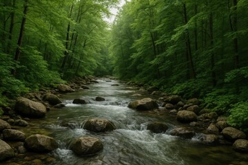 Obraz premium A Serene Stream Flows Through a Lush Forest