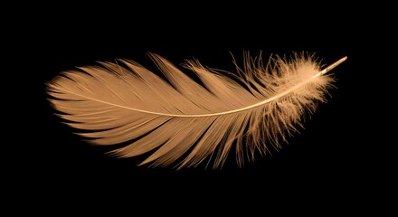 Obraz premium Gold feather exhibits fine texture and detail against a dark background, ideal for branding, posters, or abstract designs.