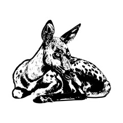 vector illustration of a deer