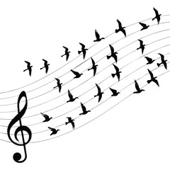 Musical Flight A Symbolic Journey of Birds and Notes Creating a Harmonious Melody with Nature and Music