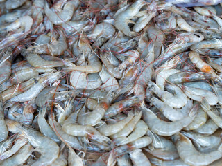 Fresh Raw Shrimp, Close-up of fresh raw shrimp with shells, perfect for grilling, boiling, stir-fry, soups, or seafood dishes.