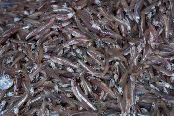 Dried Salted Fish: Premium Quality, Sun-Dried Anchovies for Authentic Asian Cuisine