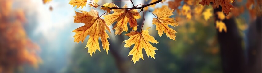 Fototapeta premium Autumn leaves falling forest hdr panorama vibrant nature close-up view beauty of change