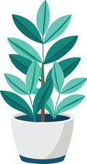 ZZ plant in white pot