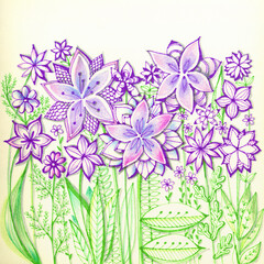 Summer garden flowers with purple petals and green leaves. Hand drawn image