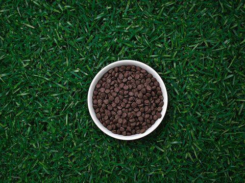 Bowl of Chocolate Chips on Green Grass, Overhead View, HighContrast Visual. - Powered by Adobe