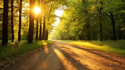 Fototapeta premium Peaceful dirt road in the heart of a dim autumn forest, golden trees on both sides glowing gently in the sun, crisp fallen leaves covering the ground
