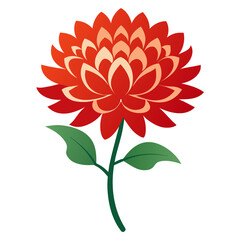 red dahlia flower isolated on white