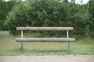 bench at the edge of the forest