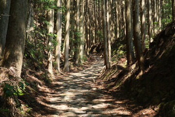 春の熊野古道。日本の古き道の景色。
Kumano Kodo. Japanese ancient pilgrimages trails,world heritage, Japan. 