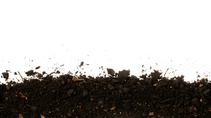 Dark soil ground texture with white border isolated on a transparent background dirt