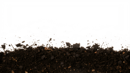 Dark soil ground texture with white border isolated on a transparent background dirt