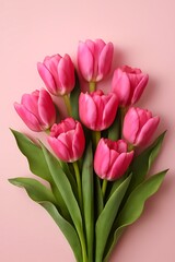 Obraz premium Vibrant Pink Tulip Bouquet with Green Leaves on Pastel Background