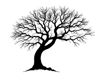 Intricate branching tree of life silhouette against pure white background,  ecology,  botany