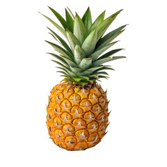 Whole ripe pineapple with green leafy crown against a black background

