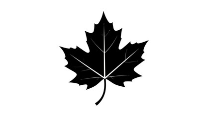 Black silhouette of a maple leaf with visible veins, isolated on a white background.