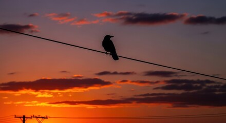 Silhouette of Crow Perched on Wire at Sunset