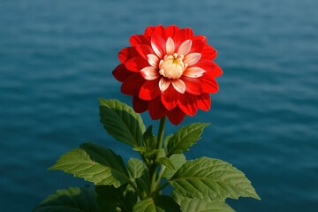 A solitary red dahlia stands out against a serene blue backdrop, symbolizing beauty amidst tranquility
