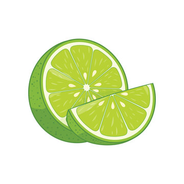Fresh Lime Fruit Half and Slice Illustration