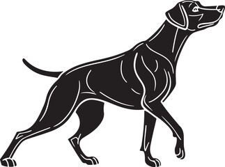 Black silhouette of a pointer dog in motion white background