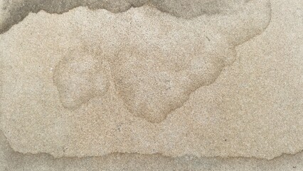 Old stained particle board texture, brownish gray particle board background with full frame. Minimal brown design space background. Brown particle board texture with copy space.