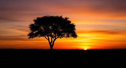 Obraz premium Silhouette of a Tree at Sunset with Vibrant Orange and Purple Sky