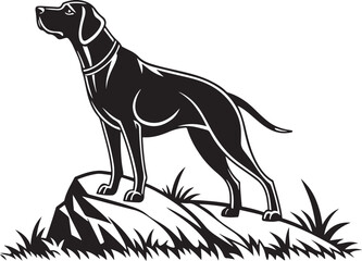 Pointer dog silhouette standing on rocks and grass