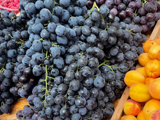 Close Up Of Fresh Ripe Dark Blue Grapes On Display At A Farmers Market Stall Next To Apricots. Healthy Fruit Harvest Background.