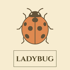 Ladybug Identification Card — Red Beetle with Black Spots