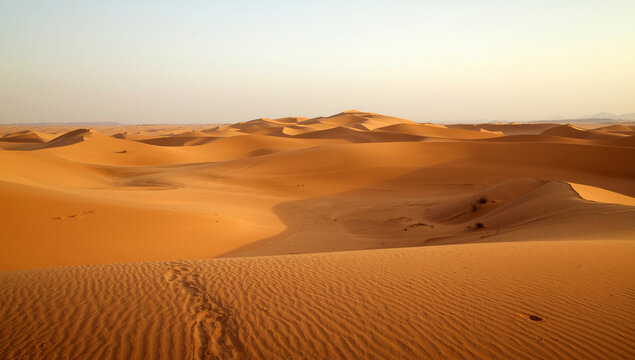 A desert landscape with soft, golden sand dunes.