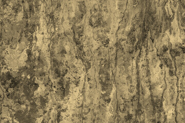 Abstract textured background with organic patterns and natural earthy tones of brown and green