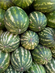 A Large Pile Of Fresh Ripe Striped Watermelons For Sale At An Outdoor Farmers Market In Summer. Healthy Fruit And Harvest Background. Vertical.