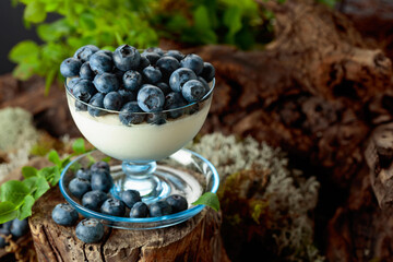 Mascarpone cream with fresh blueberries served in a clear bowl.