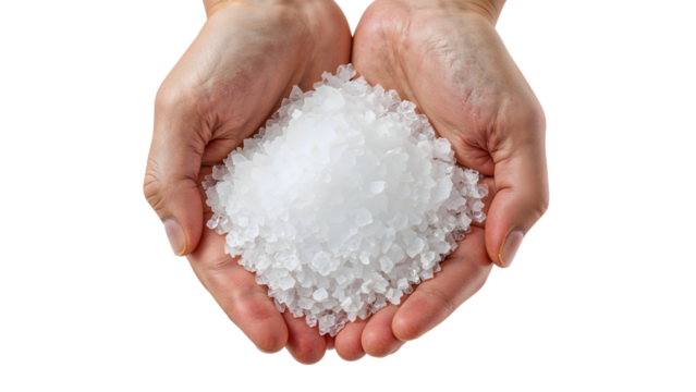 Human hands holding coarse sea salt crystals isolated on the transparent background for culinary spa wellness and natural ingredient concepts