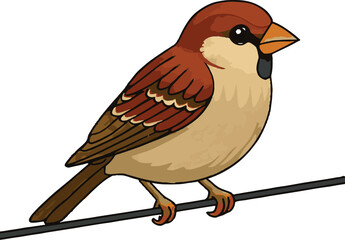 Sparrow on Wire Vector Illustration – Isolated Bird Graphic in Flat Style on White Background