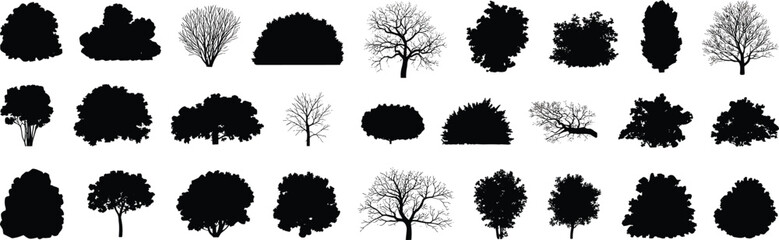 Tree and bush silhouette set, nature plant shapes, forest landscape elements, garden vegetation design, botanical black vector collection, flat vector illustration © Khadija Creatives