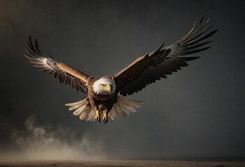 Obraz premium Portrait of an eagle in flight