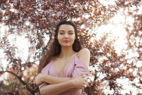 Confident Woman in Pink Dress Standing Amid Spring Blossoms at Sunset