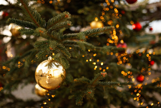 Christmas ball and green spruce branch