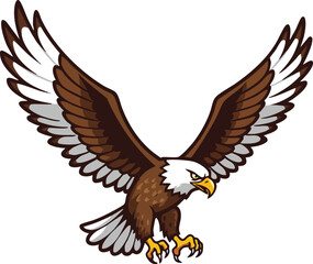 Fototapeta premium Bald eagle flying with wings spread wide vector illustration of powerful bird of prey in attack position 