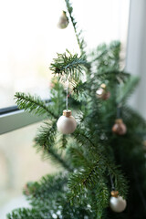 Christmas ball and green spruce branch