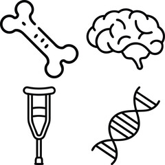 A simple line art illustration of four medical symbols: a bone, a brain, a crutch, and a DNA double helix.