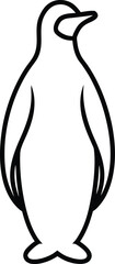 vector illustration of a Penguin