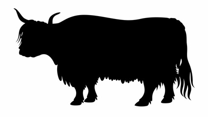 Silhouette of a yak standing with its head lowered and long fur covering its body in a black color