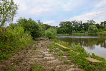 Fototapeta premium A wet dirt road with tire tracks runs along the bank of a pond. The pond reflects trees and the sky, creating a peaceful landscape. The muddy ground and bright greenery contrast, reflecting a summer d