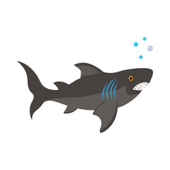 Obraz premium vector illustration of a cartoon shark