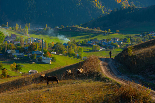 Şavşat (Georgian: შავშეთი, romanized: shavsheti) is a town in Artvin Province in the Black Sea region