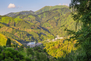 Fototapete bei efototapeten.de bestellen   