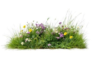 Creating a vibrant bush using a mix of grass and wildflowers for a lively addition to outdoor spaces in a sunny garden