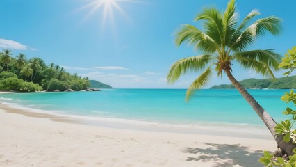 Tropical Beach with Palm Tree and Crystal Clear Waters